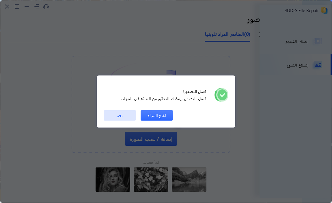 استخدم إصلاح ملف 4ddig لتلوين الصورة ذات اللونين الأبيض والأسود-4