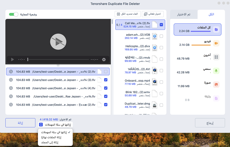 preview to remove duplicate files