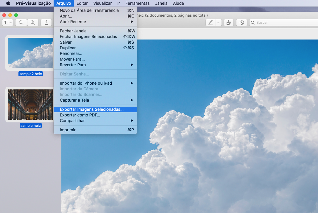 escolha a opção Exportar Imagens Selecionadas