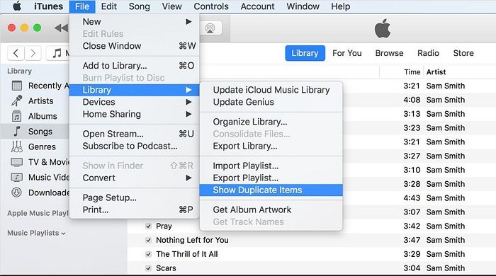itunes-biblioteca-mostrar items duplicados
