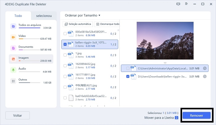 Pré-visualização para Remover Duplicatas