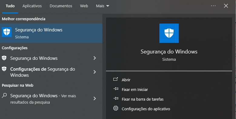 segurança do windows