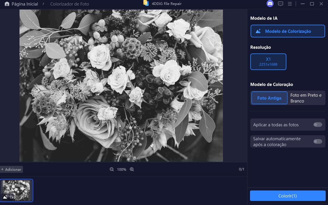 File Foto Preto E Branco 3