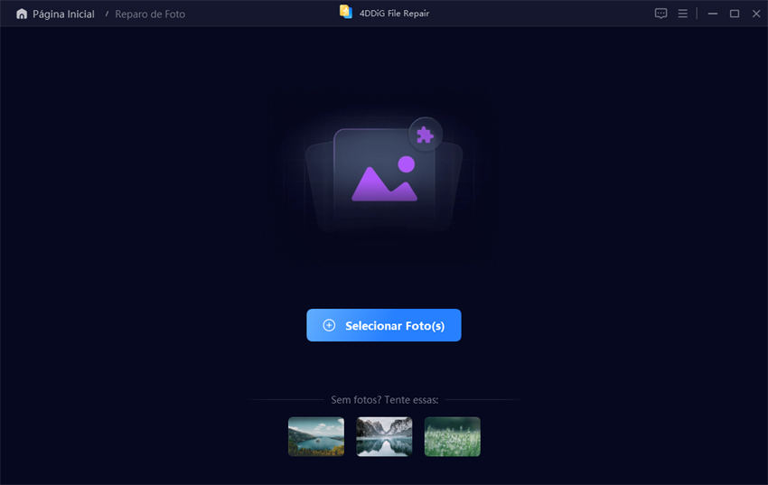 add file to 4ddig file repair tool