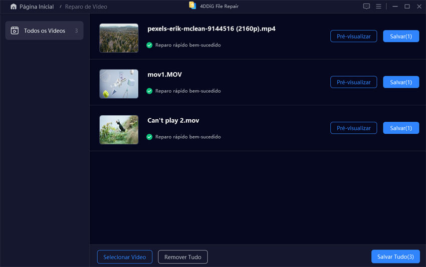 reparo de vídeo concluído