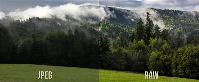 jpeg vs raw