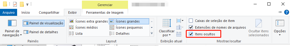 escolha a aba visualizar e os itens ocultos