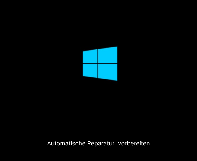 Automatische Reparatur vorbereiten