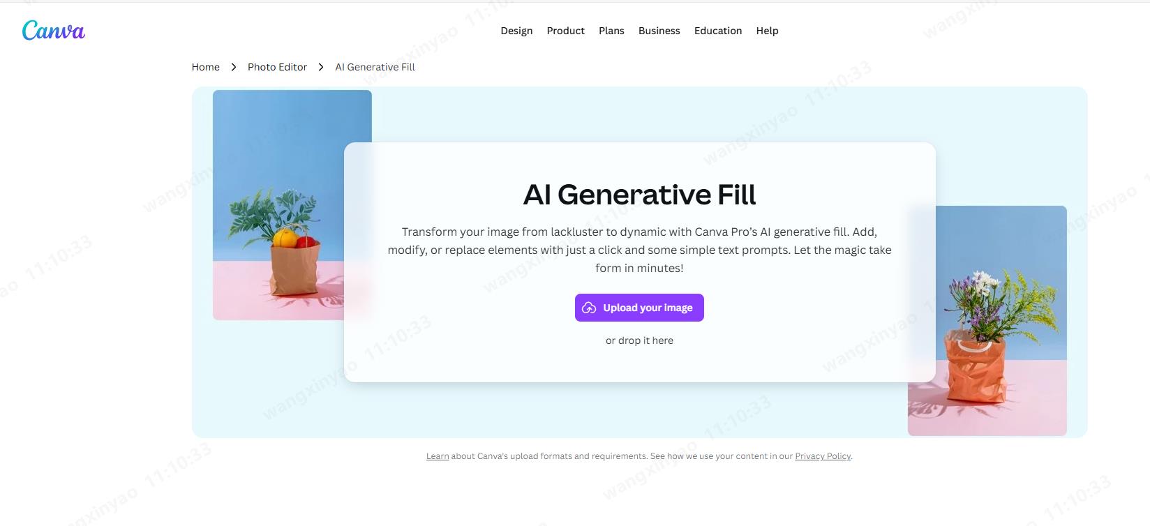 Canva Magic Edit Funktion