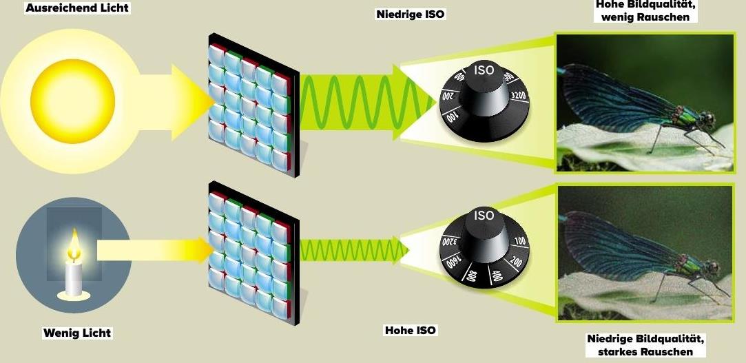 Bildrauschen beim Fotografieren mit ISO, Stativ, Licht und RAW vermeiden