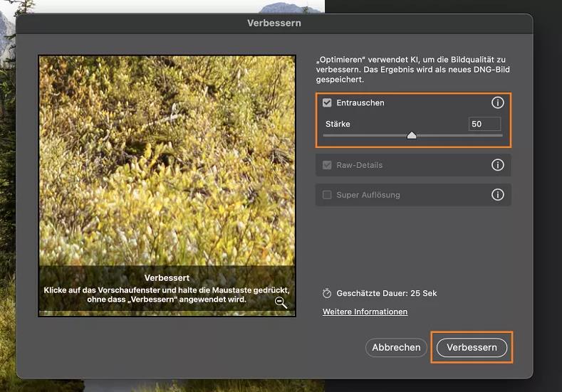 ISO-Rauschen mit der Entrauschen-Funktion in Adobe Camera Raw reduzieren