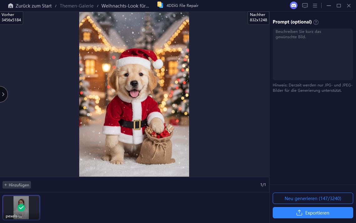 Weihnachts-Makeover für Haustiere
