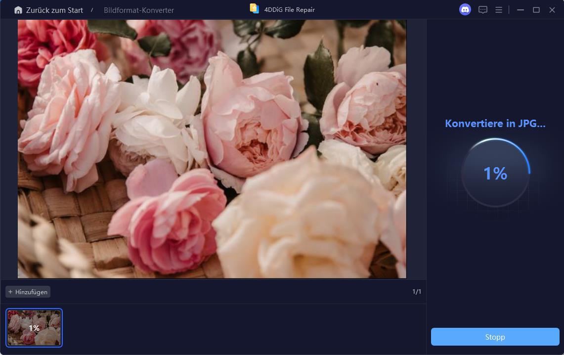 konvertierung ins jpg-format läuft