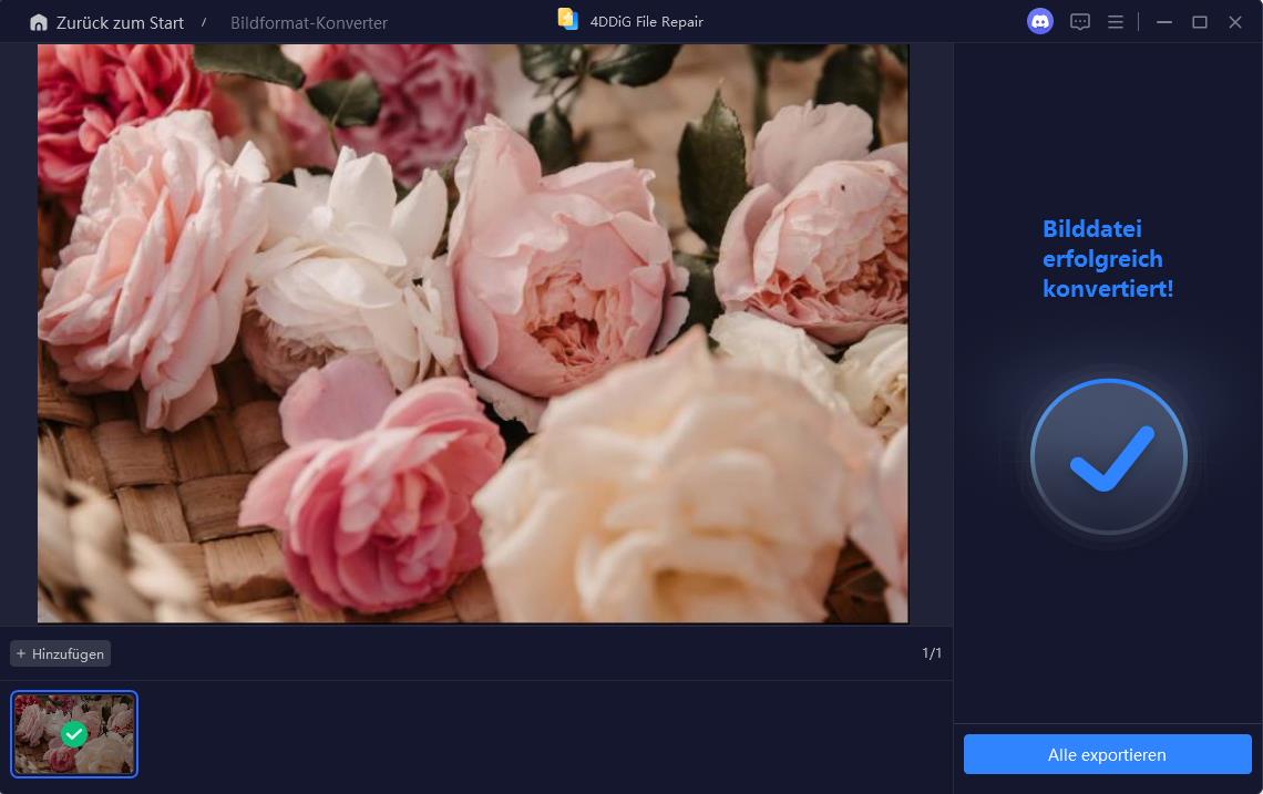 bildformat-konvertierung ins jpg-format abgeschlossen