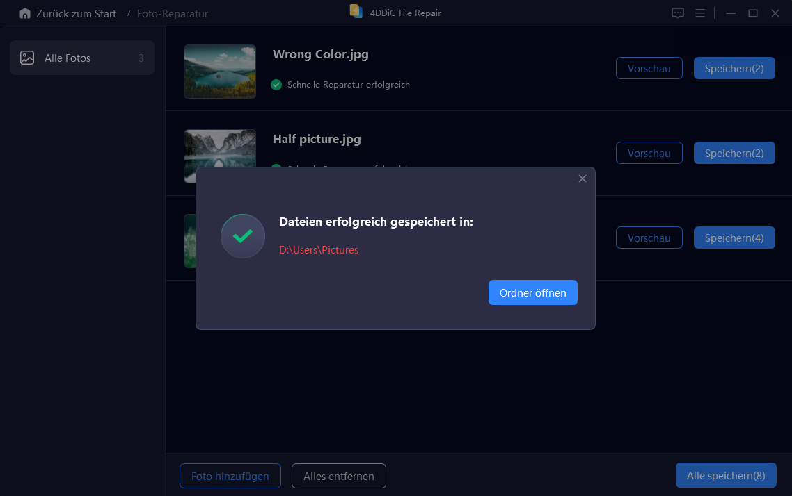 Vorschau der reparierten Videodateien