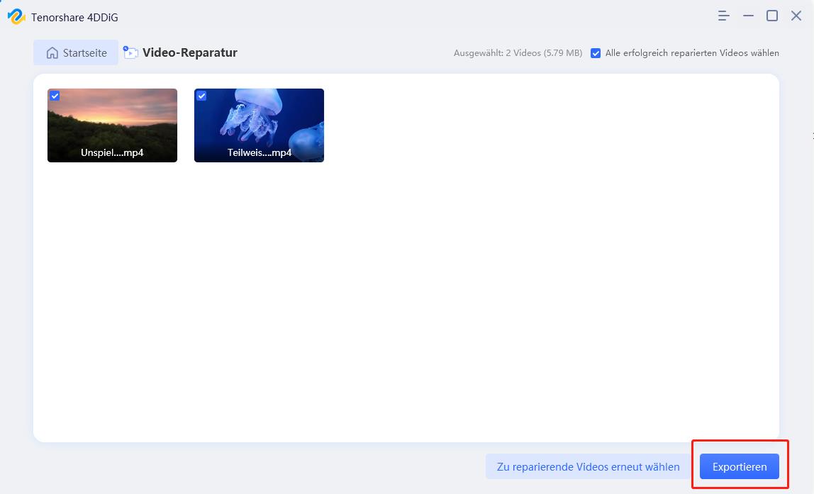 Reparierte Videos anzeigen und exportieren