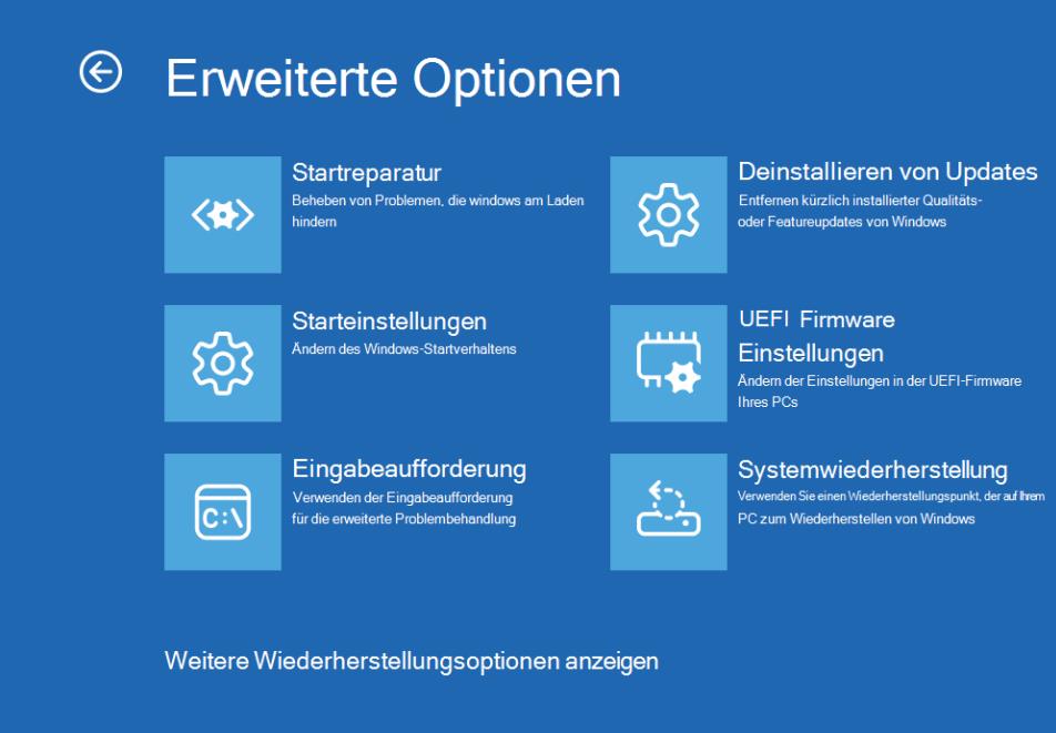 Windows 11 Wiederherstellungsumgebung mit erweiterten Optionen öffnen