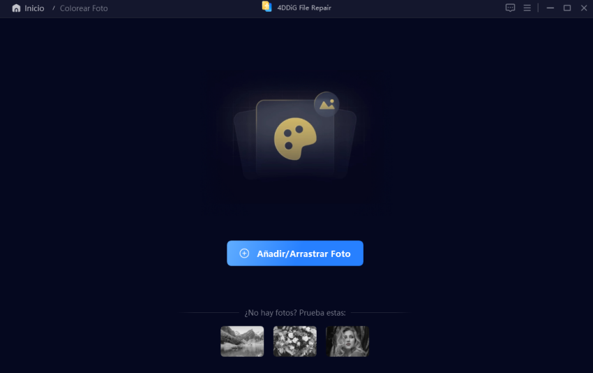 agregue fotos en blanco y negro para colorizar
