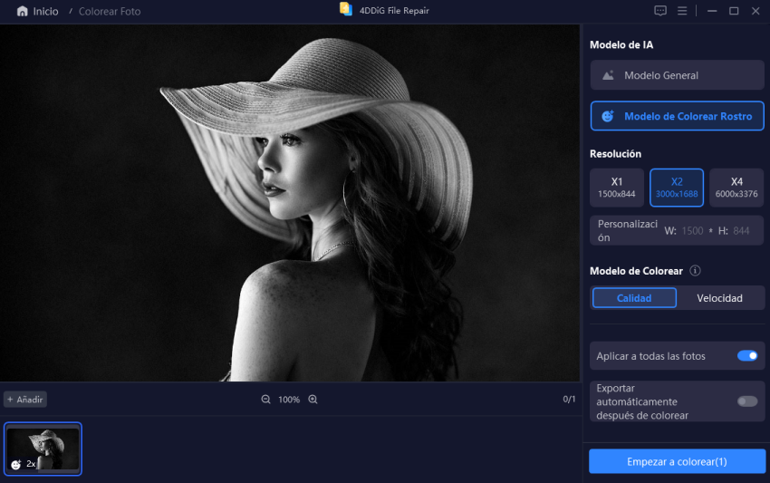 seleccione el modelo y la resolución AI para la foto en blanco y negro