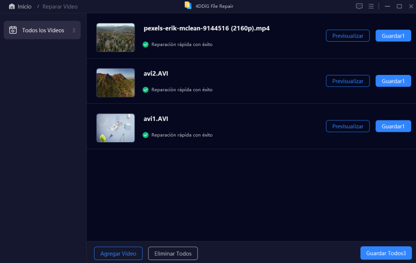 reparar videos con 4ddig file repair