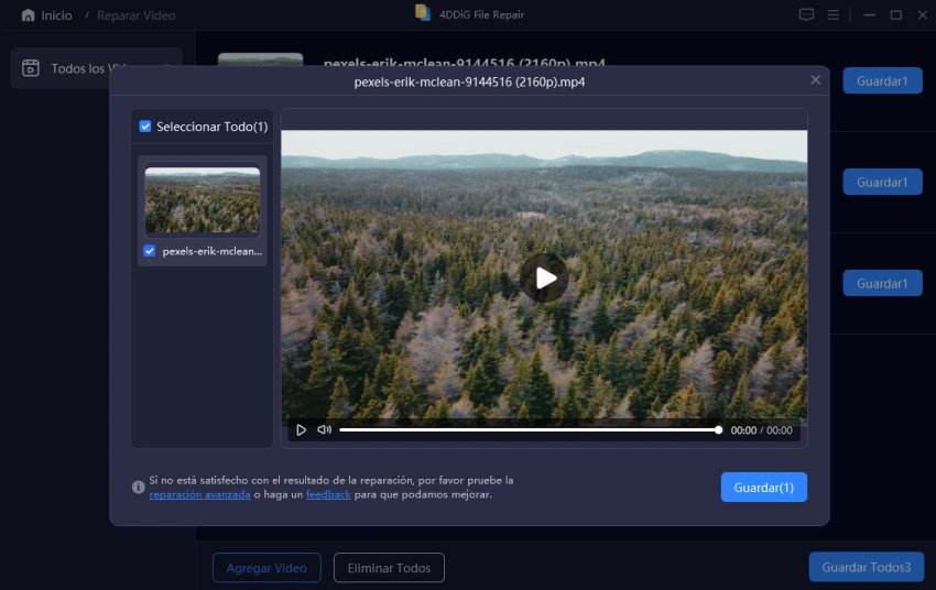 previsualizar y guardar videos fijos