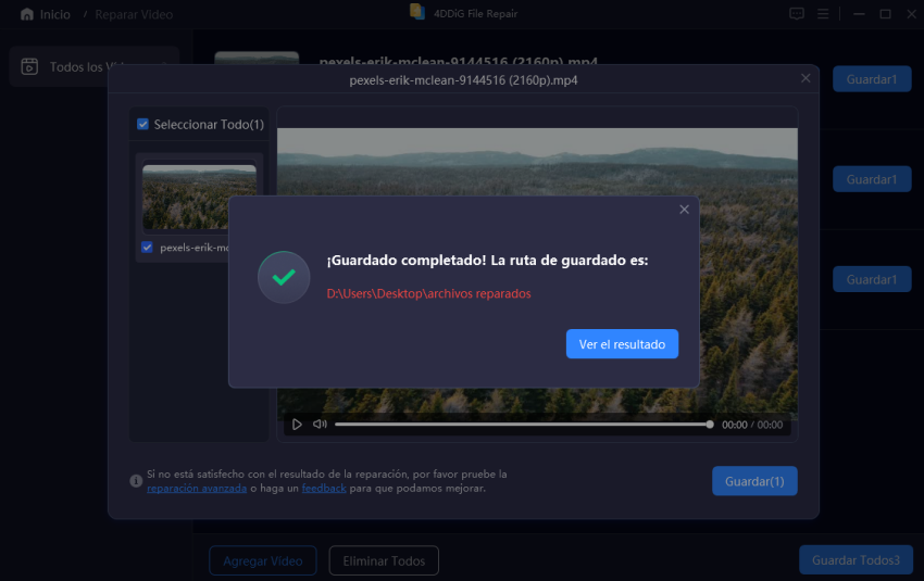 4ddig file repair guía paso 3