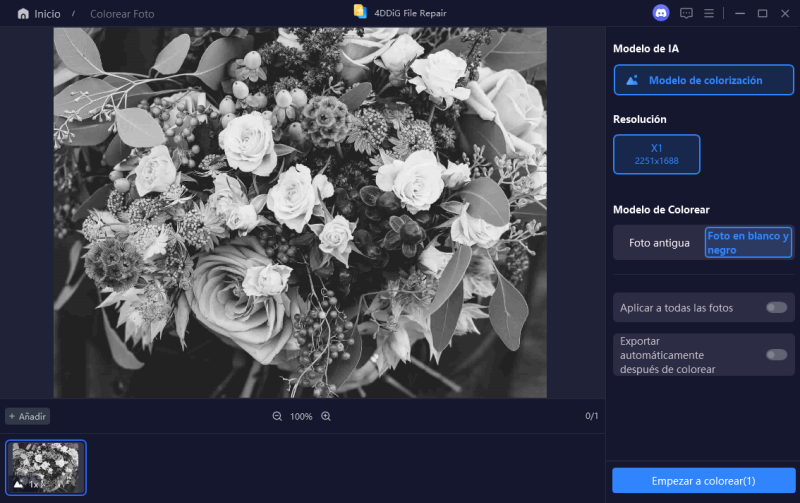 seleccionar modelo de ia para colorear fotos