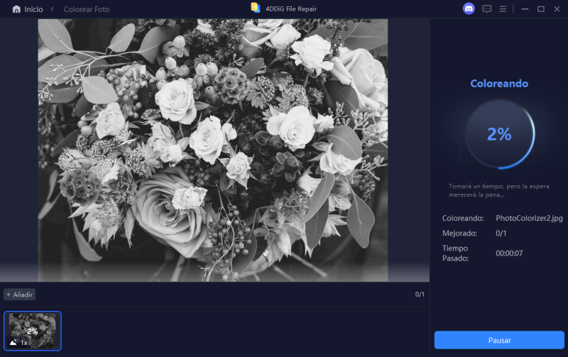 construyendo modelo de ia para colorear fotos