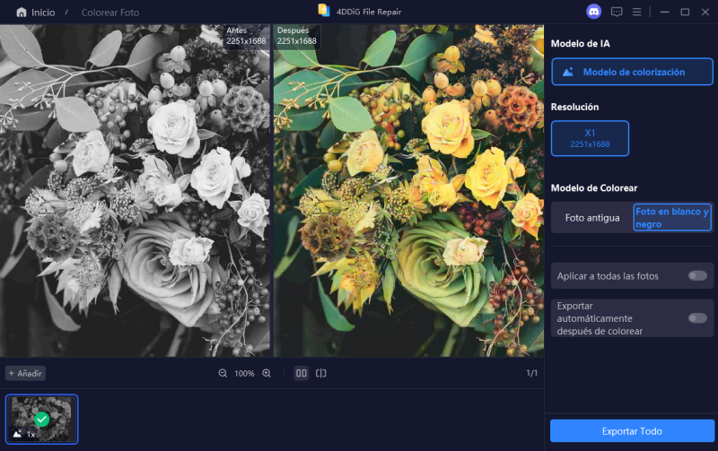 previsualizar y guardar fotos coloreadas