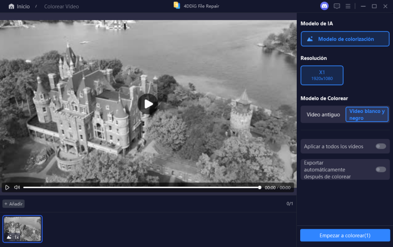 seleccionar modelo de IA para colorear videos