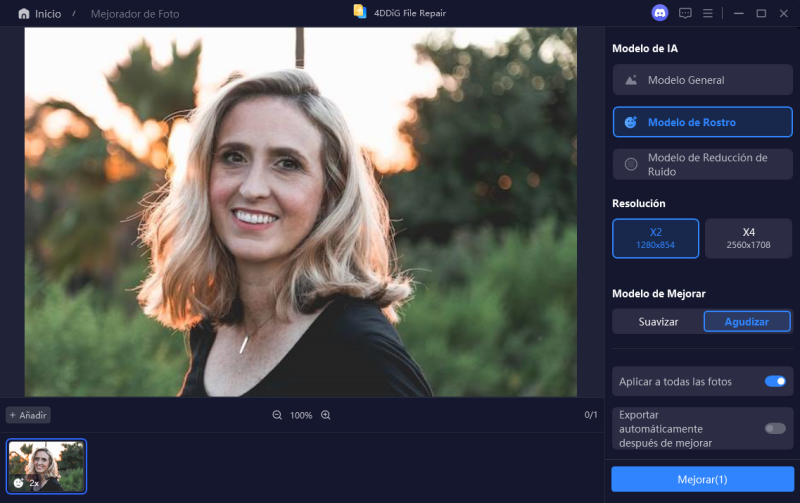 seleccionar modelo AI para mejorar fotos