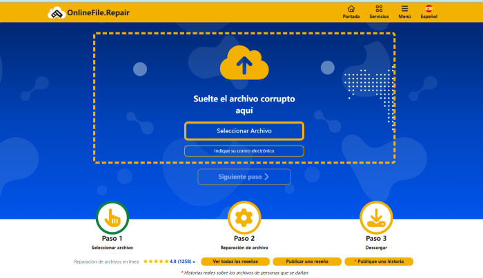 online file repair