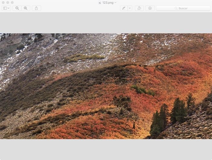 Abra archivo TIFF en vista previa
