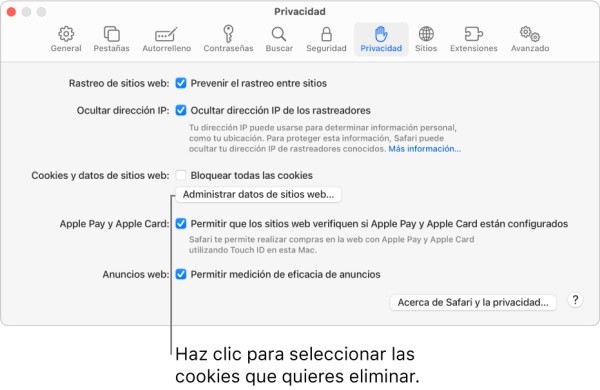 borrar cache de safari privacidad