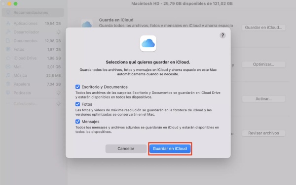 selecciona que quieres guardar en icloud