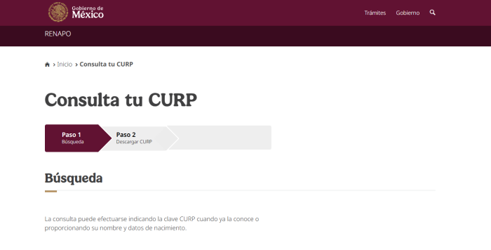 curp mexico