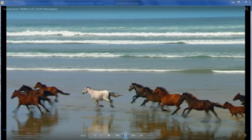 optar por el reproductor nativo windows media palyer