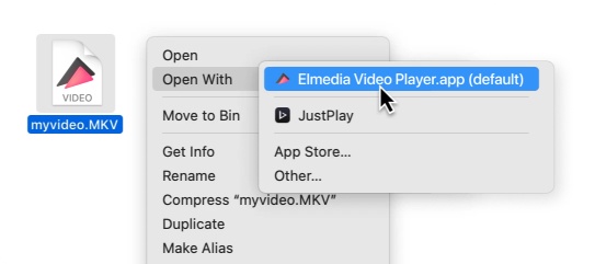reproducir swf con lectores de archivos2