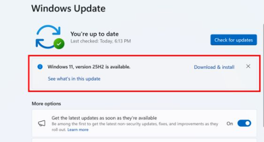 Descargar e instalar Windows 11 25H2