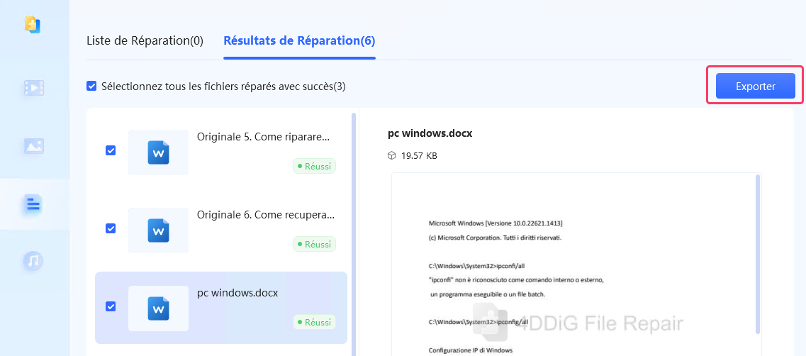 4ddig file repair word 3