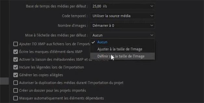 comment augmenter l'échelle d'une vidéo dans premiere pro