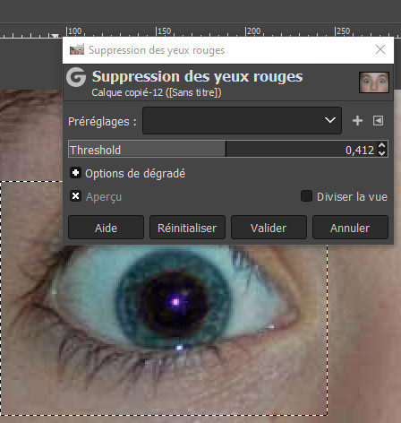 confirmer l'ajustement dans gimp