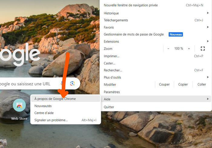 update google chrome to fix error code 101102-step 1