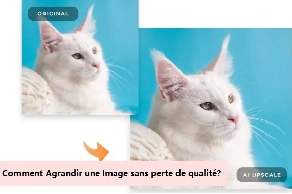 agrandir les images sans en perdre la qualité