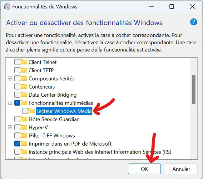 erreur 0xc00d36b4 solutions
