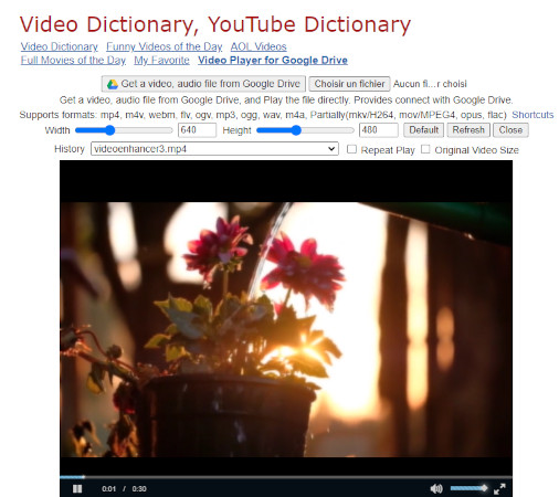 La vidéo de google drive est lue automatiquement