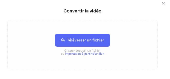 convertir fichier WebM en MP4 avec VEED.IO-2