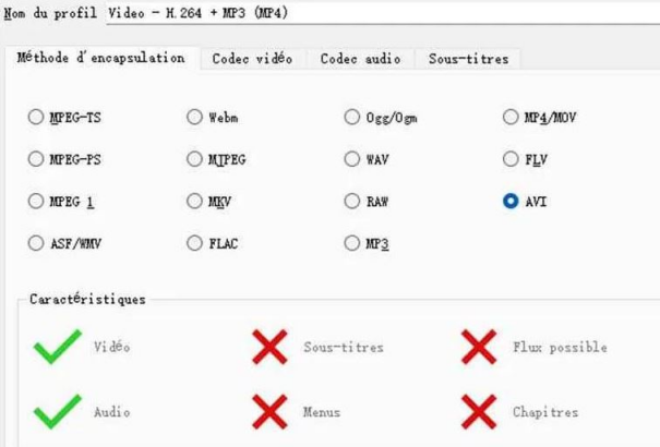 convertir fichier WebM en MP4 avec VLC-2