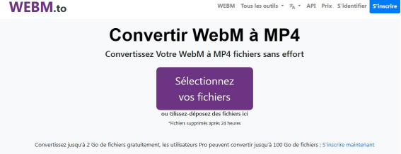 convertir fichier WebM en MP4 avec WebM.to-2