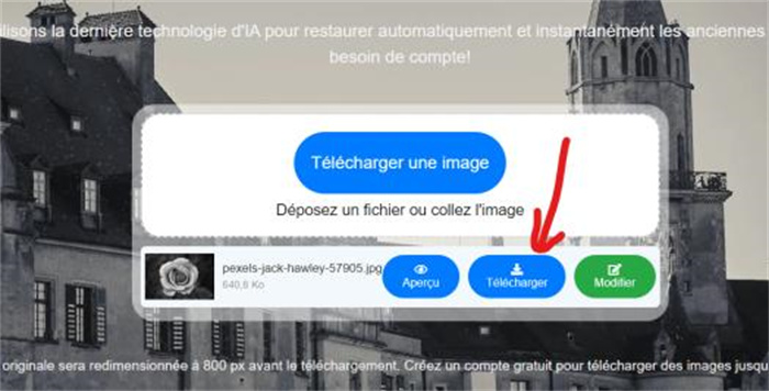 comment coloriser des photos en noir et blan avec image colorizer-3